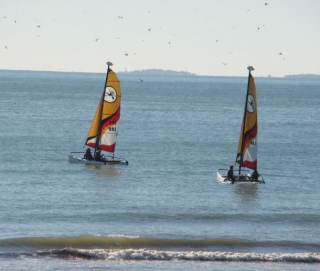  curso de catamarán en 85